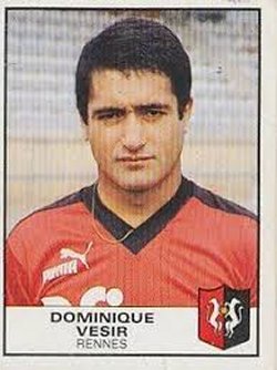 Dominique_Vesir